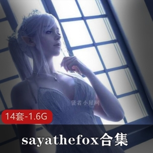 优质小仙女（Sayathefox）合集：东南亚美女14套视频，总计1.6G，海边作品，海滩配大罩杯